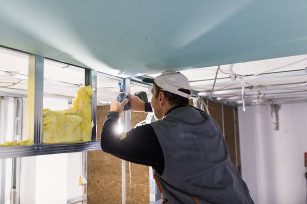 Types of Insulation We Offer in Bastrop, LA