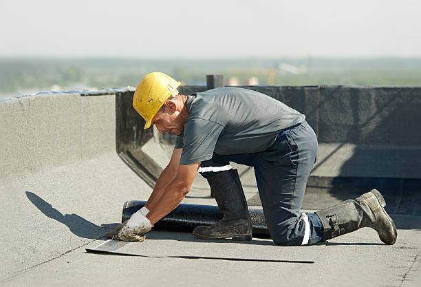 Best Insulation Maintenance and Repair in Bastrop, LA
