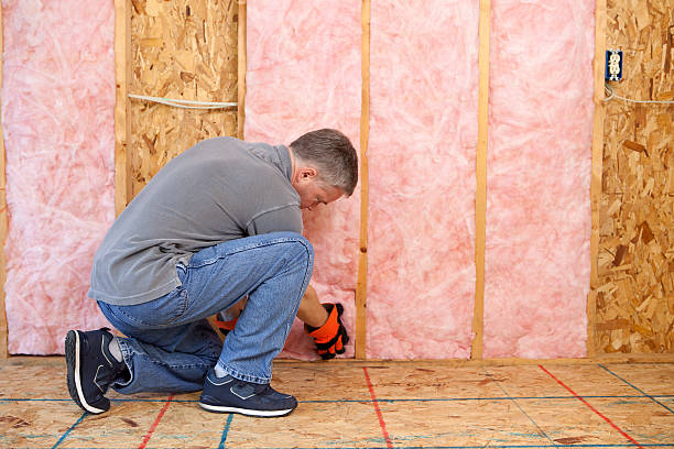 Best Spray Foam Insulation in Bastrop, LA